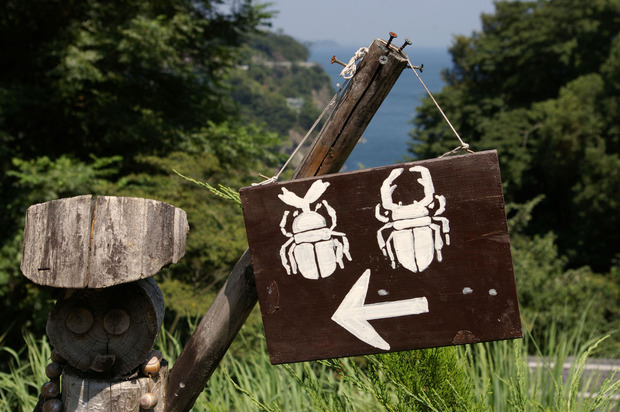 Ǯ��8