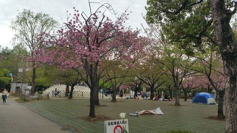 20180407_142640