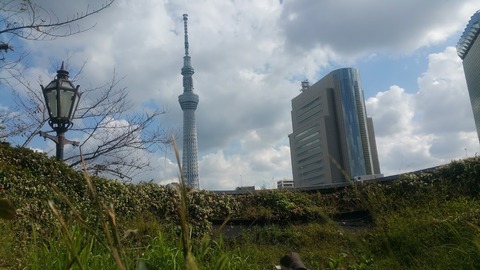 20181020_115025