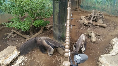 20180407_143422