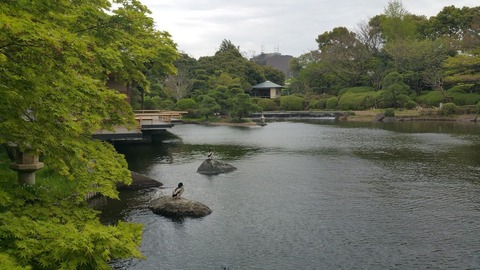 20180407_142408