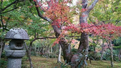 20181117_145047