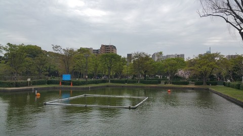 20180407_142225