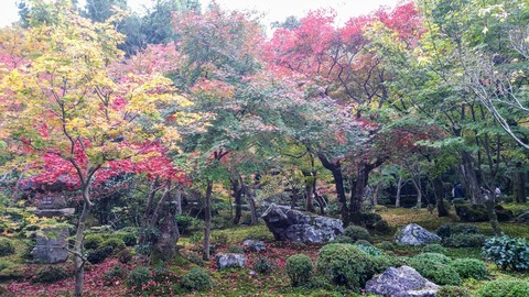 20181117_142728