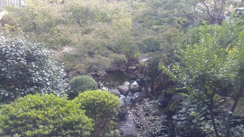 20181020_123111