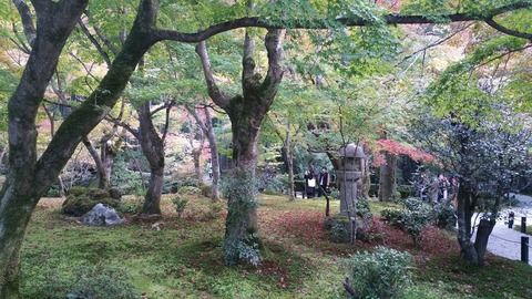 20181117_143029