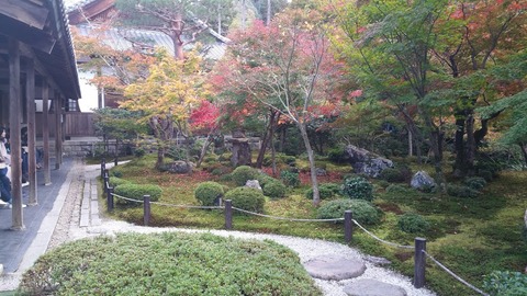 20181117_142954