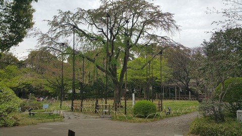 20180407_142341