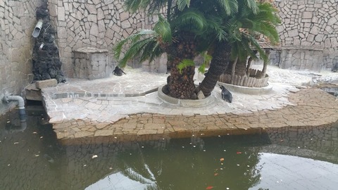 20180407_142806