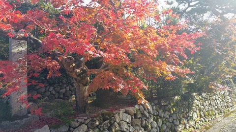 20181117_140343