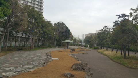 20180407_152650