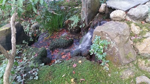 20181117_143320