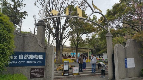 20180407_142742