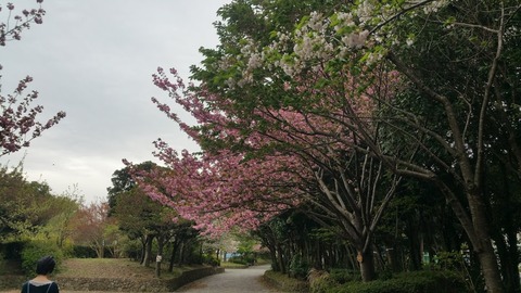 20180407_151910