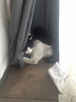 おーい