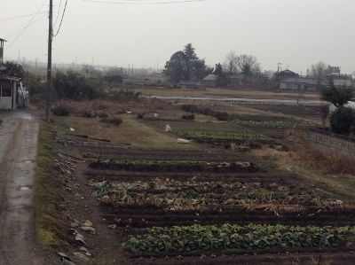 外の画像 (400x299)