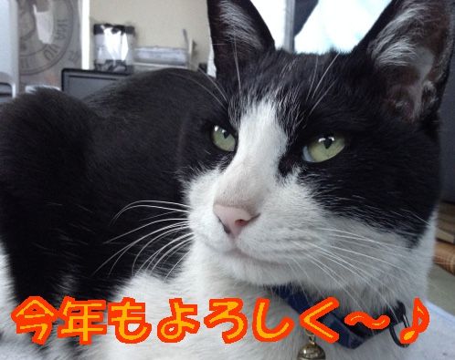 今年もよろしく