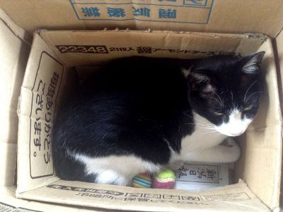 2重箱
