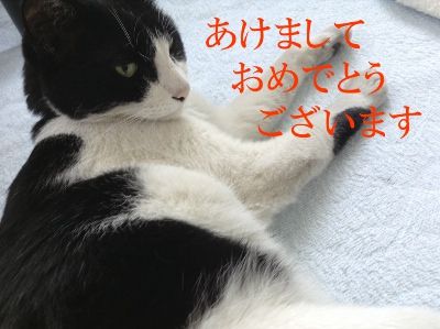 年賀状