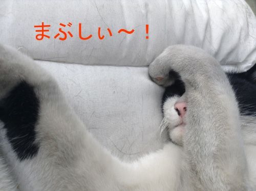 まぶしい