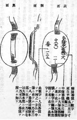 陸軍認識票は語る① 古物談義 ～騎兵第10連隊～ : サルナシの掘り掘り