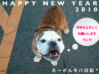 HNY2010