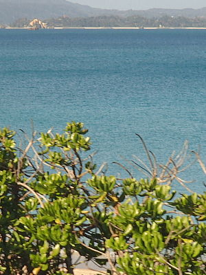 sP1280993