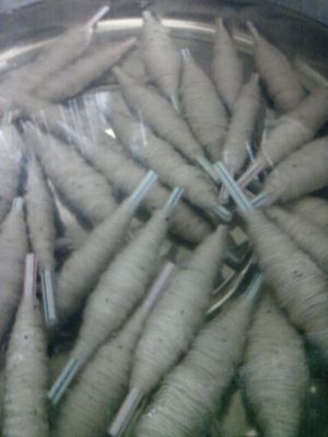 sDVC00005
