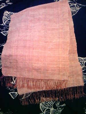 sDVC00185