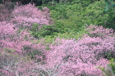 sIMG_2985