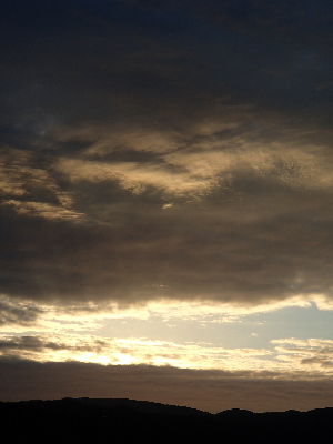 sP1260825