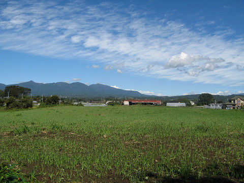 resize10959