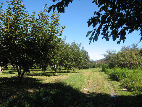 resize10934