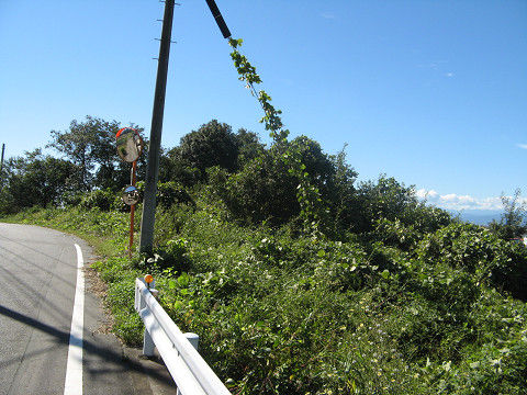 resize10950