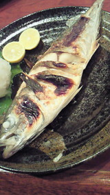 bbf84420.jpg
