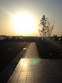 CA3A0224[1]
