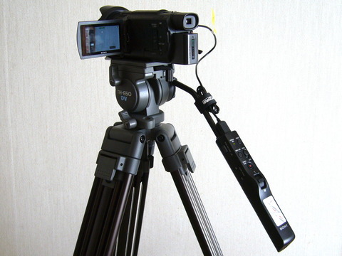 9224354c-s.jpg