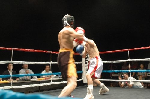 2yh5