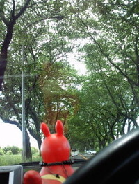kamise