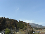 どーし