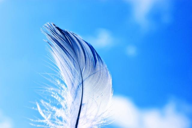 hane-thumb-640x427-1672