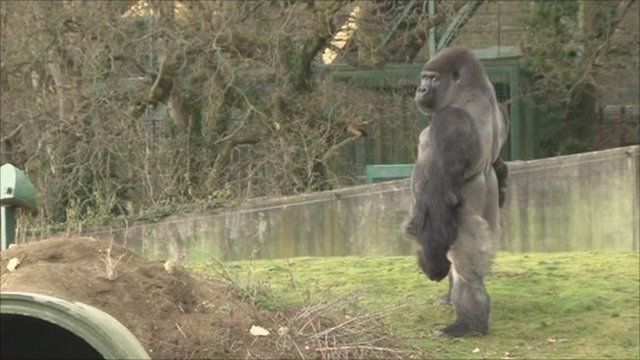 今日保存した最高の画像を転載するスレ 320YouTube動画>6本 ->画像>1227枚 