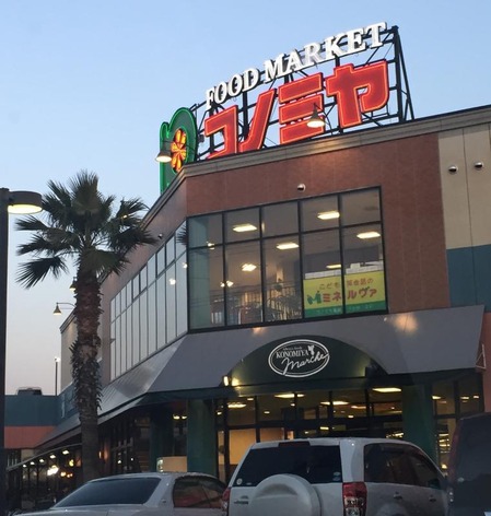 00000000000000371781_0000003954_1