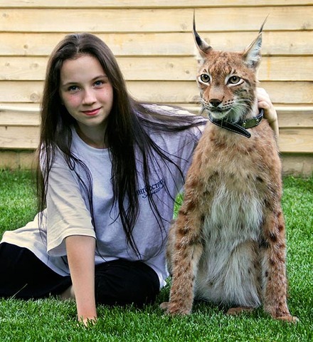 LYNX-main_1541443a
