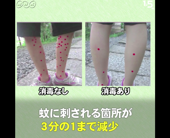 「足裏拭き」で　蚊に刺されにくくなる！？