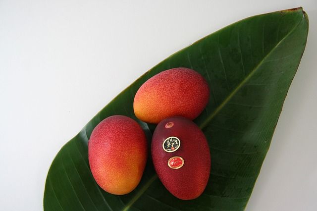 fruit-552704_640