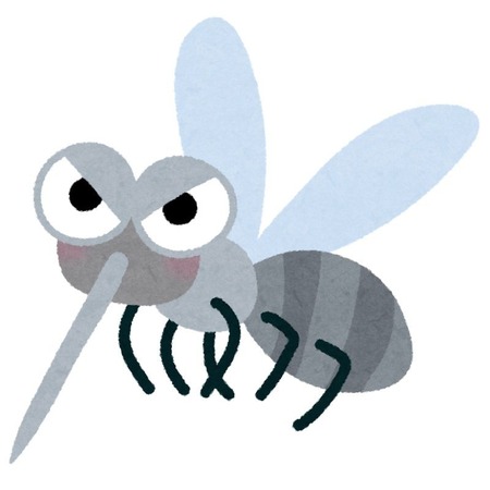 bug_ka (1)