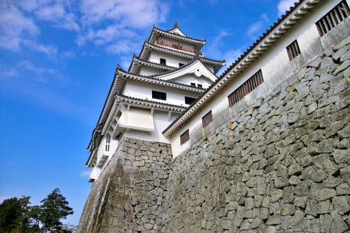 787a544432f09261ea153a40a3d13b12_t