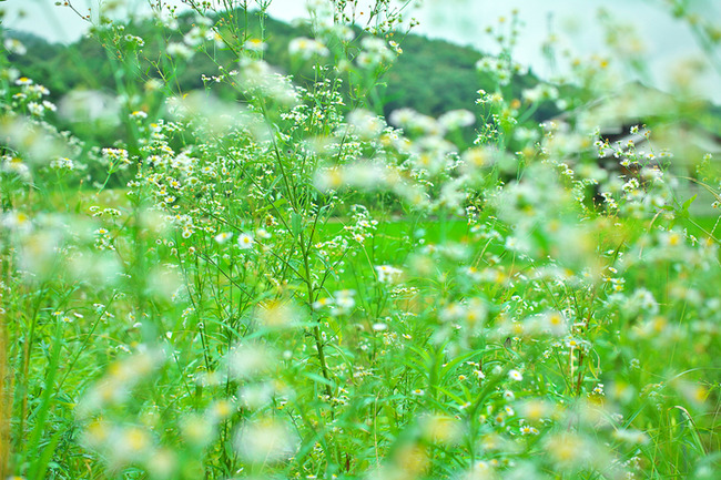 a09471ed1fb810dc506fdaf7f09bfc39c2064b76