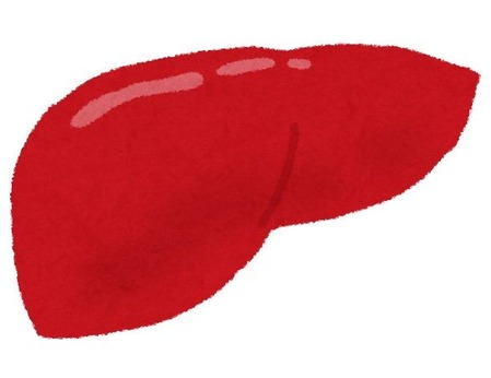 body_kanzou